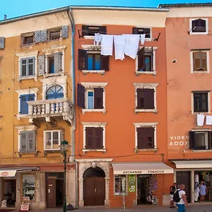 Ground Floor Gem Apartment